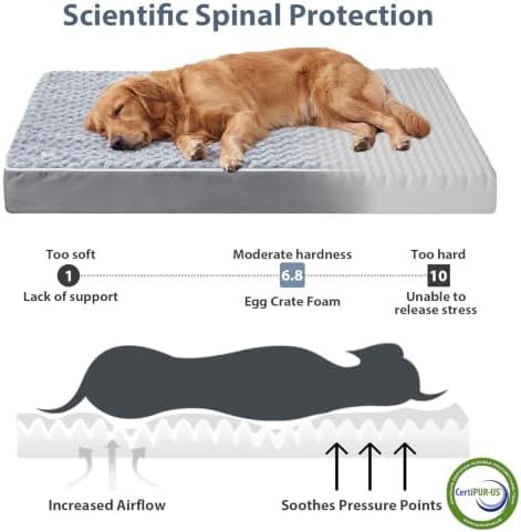 WNPETHOME 47×29 inch Orthopedic Washable XXL Large Dog Bed - Image 3