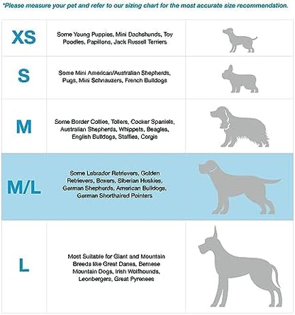 Blue-9 Balance Harness® for Dogs, Buckle-Neck - Image 4