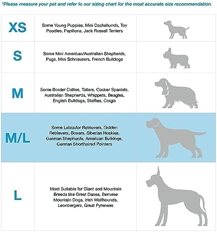 Blue-9 Balance Harness® for Dogs, Buckle-Neck - Image 4