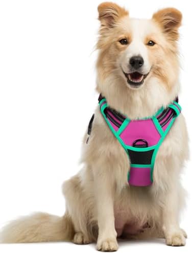 rabbitgoo Dog Harness, No Pull Medium Sized by rabbitgoo