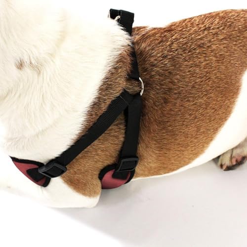 AKC Striped Step-in Dog Harness – No Pull Adjustable Vest - Image 2