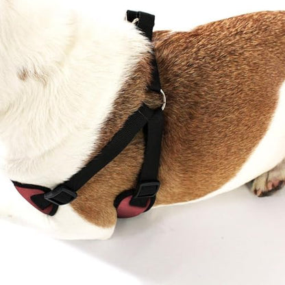 AKC Striped Step-in Dog Harness – No Pull Adjustable Vest - Image 2