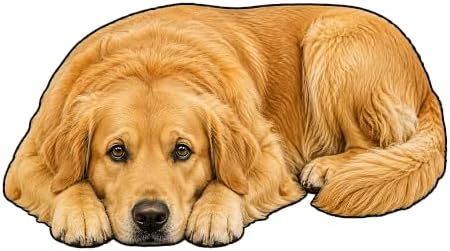 3D Realistic Dog Shaped Bath Mat & Floor Rug by MOFABIA