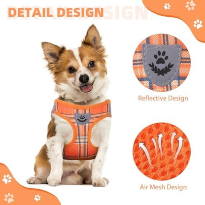 KOOLTAIL Thanksgiving Dog Harness - Image 4
