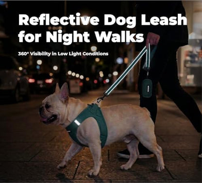 Best Pet Supplies Voyager Nylon Dog Leash - Image 4