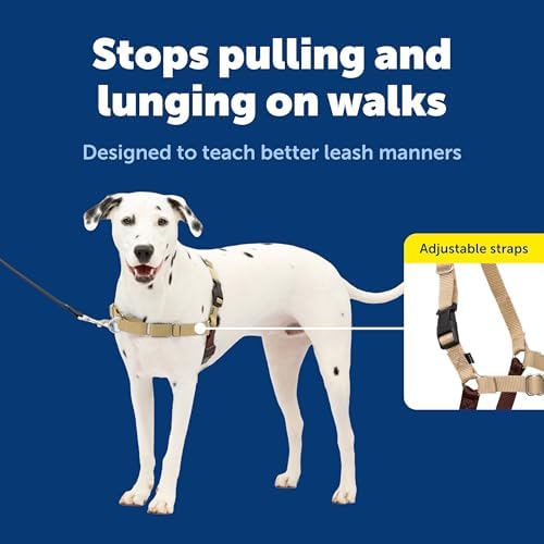 PetSafe Easy Walk Harness, No Pull Dog Harness - Image 3