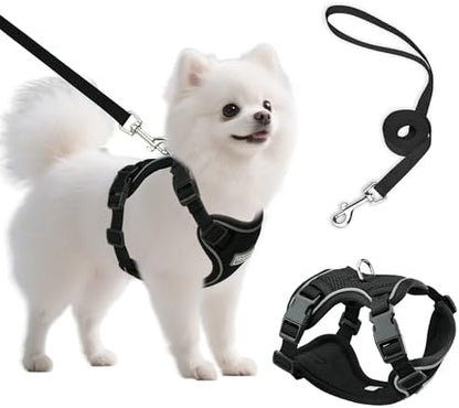 Small Dog Harness and Leash Set, Adjustable Small Sized Pet Vest by Unknown