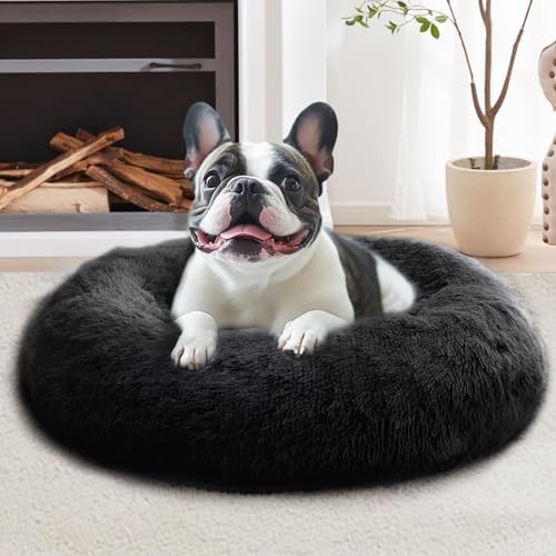 JOLLYVOGUE Calming Dog Bed for Small Dogs by JOLLYVOGUE