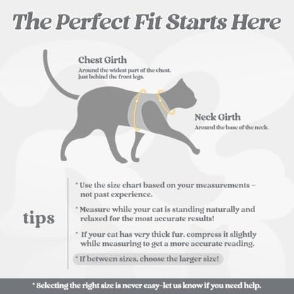rabbitgoo Cat Harness and Leash Set, Step-in Soft Vest - Image 2
