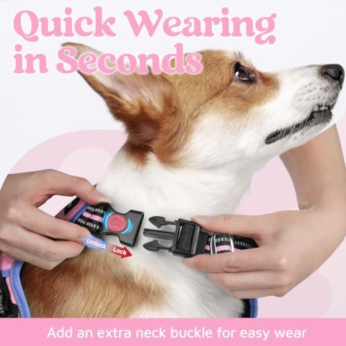 rabbitgoo Dog Harness Medium Sized, No Pull 3 Buckles Easy On & Off - Image 2