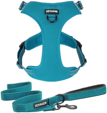 Voyager Dog Harness Dual Leash Attachment No-Pull Control Adjustable Soft but by BestPetSuppliesLLC