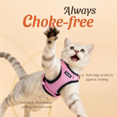Dooradar Cat Harness and Leash Set, Adjustable and Escape Proof - Image 2