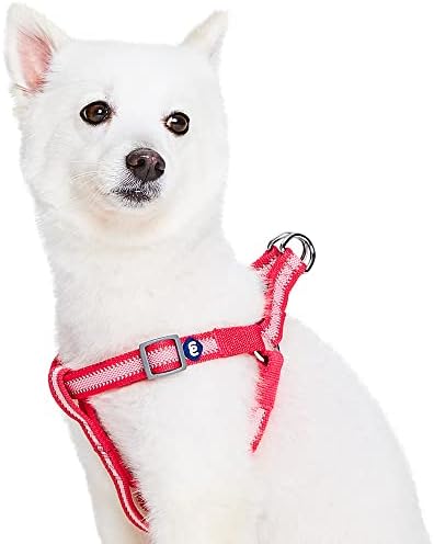Blueberry Pet Essentials Step-in Reflective Back to Basics Dog Harness by BlueberryPet