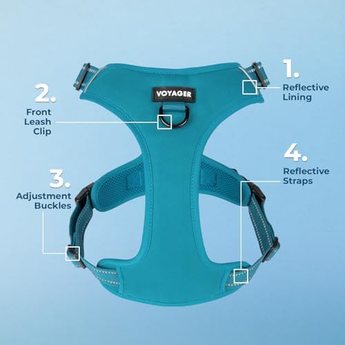 Voyager Dual Attachment No Pull Harness - Image 3