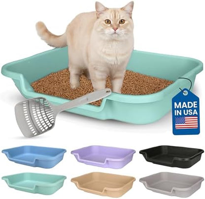 KittyGoHere Senior Cat Litter Box, Large by NE14pets
