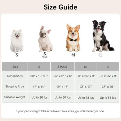 GASUR Dog Beds for Small Dogs - Image 5