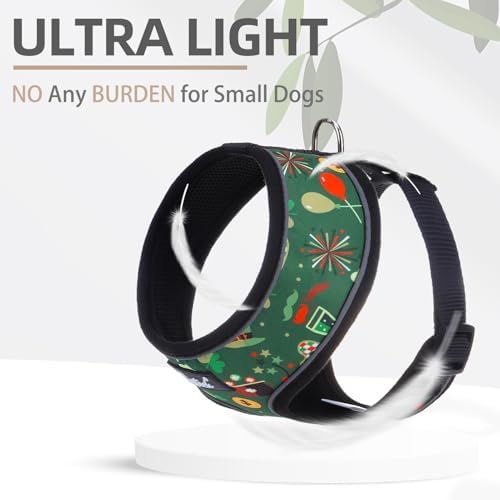 PUPTECK Small Dog Harness and Leash Set No Pull - Image 5