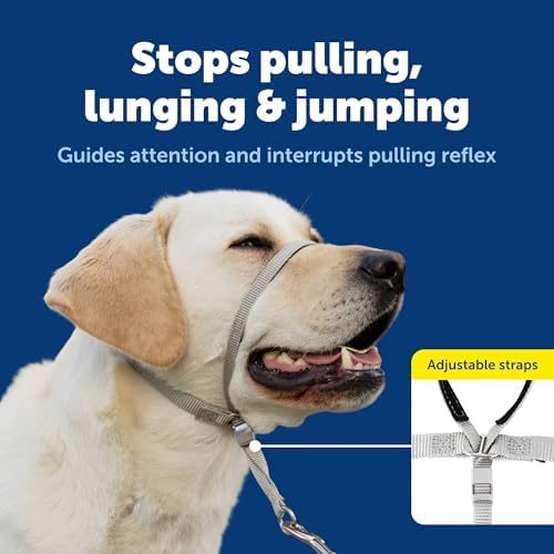 PetSafe Gentle Leader No Pull Dog Headcollar, Deep Purple - Image 3