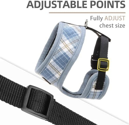 PUPTECK Small Dog Harness and Leash Set No Pull - Image 3