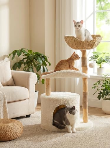 MUTTROS Modern Wood Cat Tree for Large Cats by MUTTROS