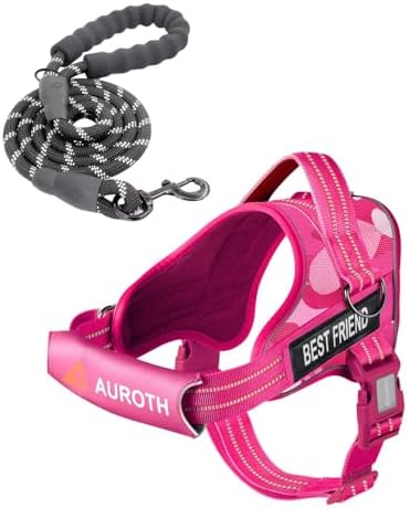 AUROTH Dog Harness and Leash Set by AurothPets