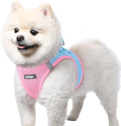 rabbitgoo Step-in Small Dog Harness, Puppy Vest by rabbitgoo