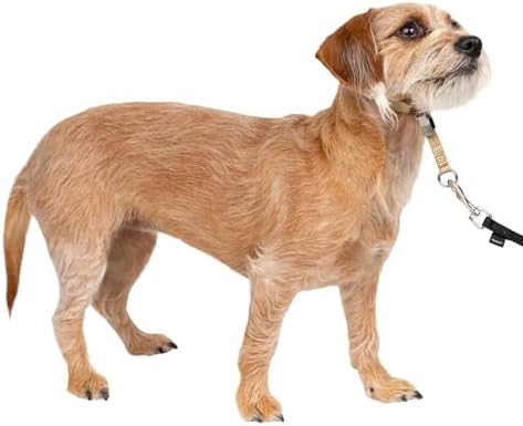 PetSafe Gentle Leader No Pull Dog Headcollar by PetSafe
