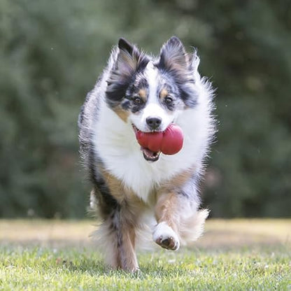 KONG Classic Stuffable Dog Toy, Natural Rubber Chew, - Image 4