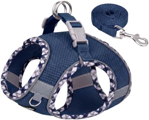 AIITLE Dog Harness and Leash Set by AIITLE-FORPETSBETTERLIFE