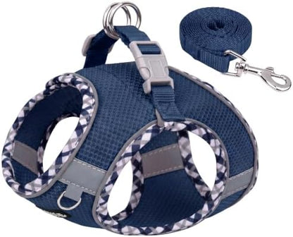 AIITLE Puppy Harness and Leash by AIITLE-FORPETSBETTERLIFE