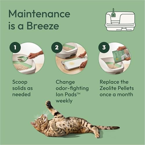 Purina Tidy Cats Breeze Litter System Refill Bundle - Image 5