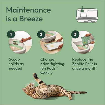 Purina Tidy Cats Breeze Litter System Refill Bundle - Image 5