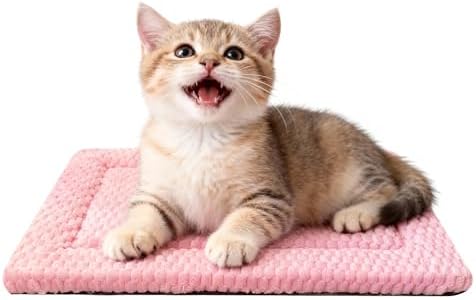 Dog Bed Mat – Soft & Comfortable Dog Kennel Pad by %E7%AB%8B%E5%8D%B3%E8%B4%AD%E4%B9%B0