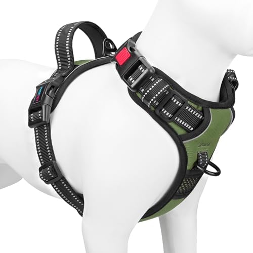 PHOEPET No Pull Dog Harness by PHOEPET
