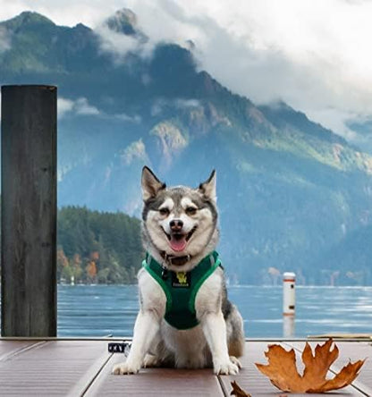 EcoBark Extra Small Dog Harness, Step in Vest, Forest Green, XS Dogs - Image 5