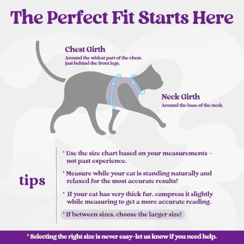 rabbitgoo Cat Harness and Leash Set, Step-in Soft Vest - Image 2