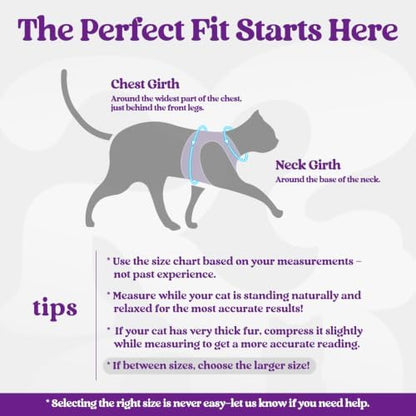 rabbitgoo Cat Harness and Leash Set, Step-in Soft Vest - Image 2