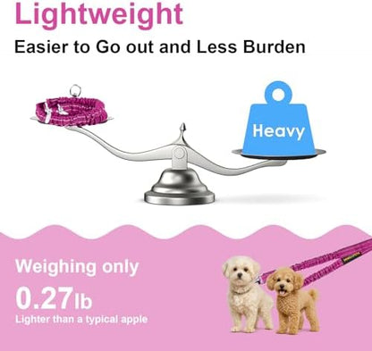 MingXpet 2 Dog Leash, Dog Leash - Image 6