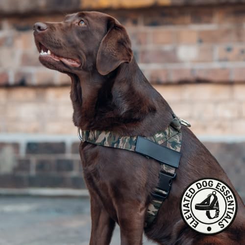 Dog Friendly Co. Dog Harness for Small Dogs - Image 5
