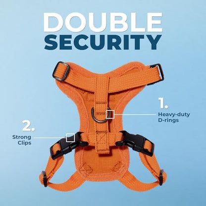 Voyager Step-in Lock Cat Harness & Leash Set - Image 2