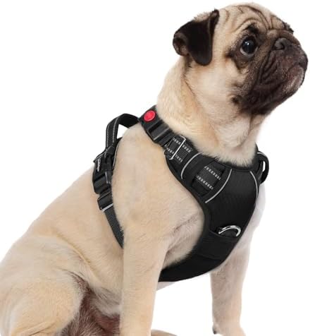 rabbitgoo Dog Harness Small Sized, No Pull 3 Buckles Easy On & Off by rabbitgoo