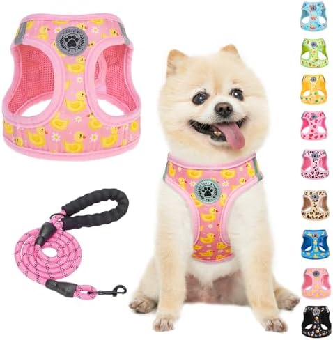 BEAUTYZOO Dog Harness Medium Sized and Leash Set, No Pull Pet Vest by BEAUTYZOO
