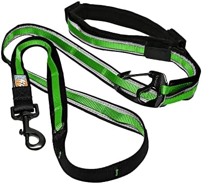 Kurgo Quantum Leash 2.0 by Kurgo