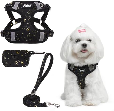 PUPTECK Dog Harness and Leash Set Small Sized, Step in No Pull Adjustable Puppy by PUPTECK