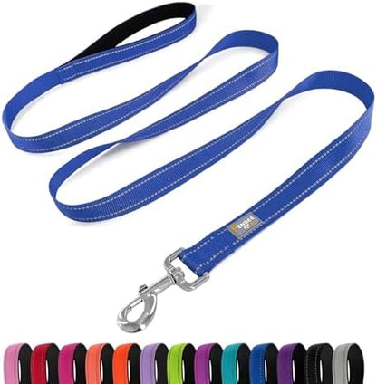 6 FT Basic Dog Leash for Small Dogs, Padded Handle by Penseepet