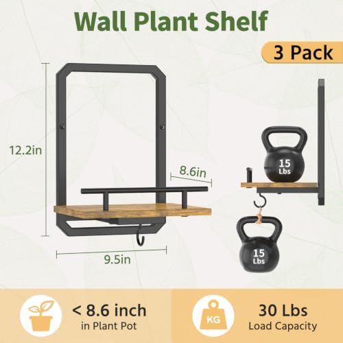 LASZOLA Plant Picture Frame Holder Shelf Wall Window Indoor - Image 2
