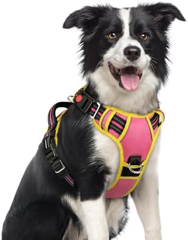 rabbitgoo Dog Harness Medium Sized, No Pull 3 Buckles Easy On & Off by rabbitgoo