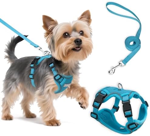 Small Dog Harness and Leash Set, Adjustable Small Sized Pet Vest by Unknown