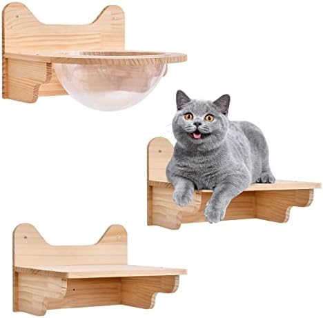 Wall-Mounted Wooden Cat Space Clear Capsule, Transparent Capsule by RibasuBB