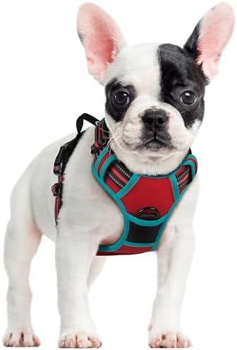 rabbitgoo Dog Harness, No Pull for Small Dogs by rabbitgoo